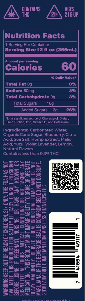 Tree Time Blueberry Yuzu Lavender THC seltzer lifestyle photo